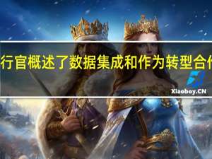 首席执行官概述了数据集成和作为转型合作伙伴的作用