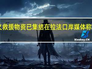 首批人道主义救援物资已集结在拉法口岸 媒体称口岸或于21日开放