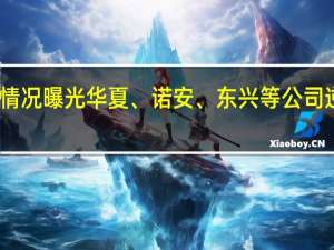 首批基金公司上半年盈利情况曝光华夏、诺安、东兴等公司逆势增长兴银、长盛等下滑明显