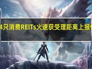 首批4只消费REITs火速获受理 距离上报仅半天左右