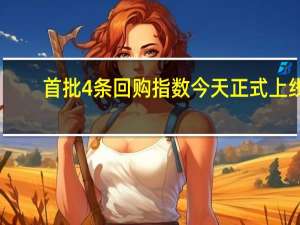 首批4条回购指数今天正式上线