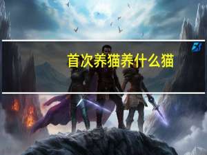 首次养猫养什么猫