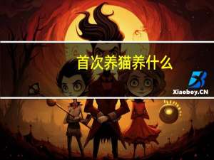 首次养猫养什么