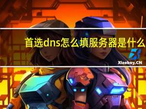 首选dns怎么填服务器是什么（首选DNS服务器填什么）