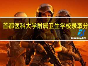首都医科大学附属卫生学校录取分数线（首都医科大学附属卫生学校）