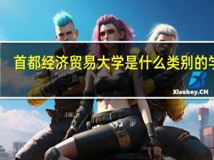 首都经济贸易大学是什么类别的学校