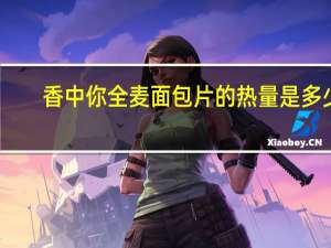 香中你全麦面包片的热量是多少