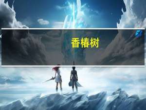 香椿树（关于香椿树的介绍）