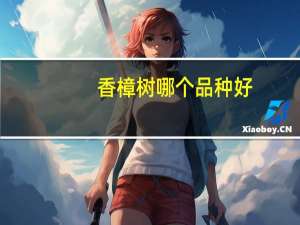 香樟树哪个品种好