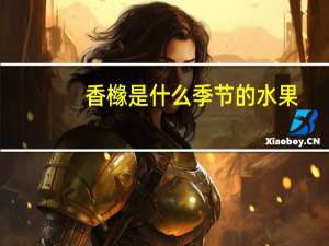 香橼是什么季节的水果