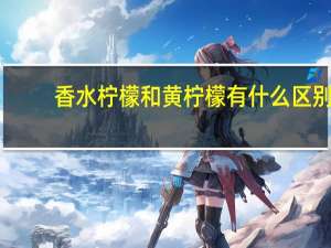 香水柠檬和黄柠檬有什么区别
