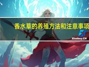 香水草的养殖方法和注意事项