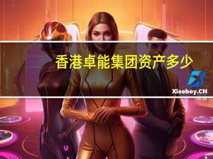 香港卓能集团资产多少