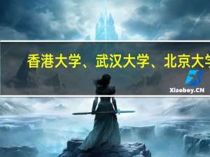 香港大学、武汉大学、北京大学，哪一个大学的法学院最好