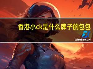香港小ck是什么牌子的包包