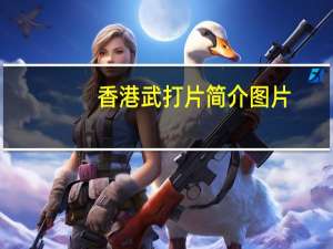 香港武打片简介图片（香港武打片简介）