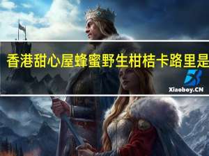 香港甜心屋蜂蜜野生柑桔卡路里是多少