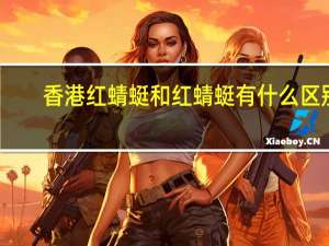 香港红蜻蜓和红蜻蜓有什么区别