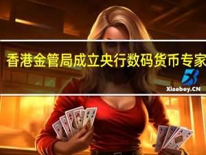 香港金管局成立央行数码货币专家小组