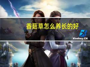 香菇草怎么养长的好