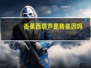 香蕉西葫芦是转基因吗