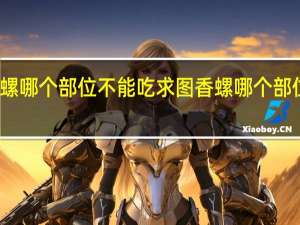 香螺哪个部位不能吃求图 香螺哪个部位不能吃