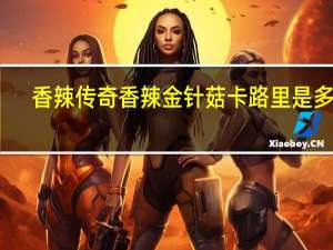 香辣传奇 香辣金针菇卡路里是多少