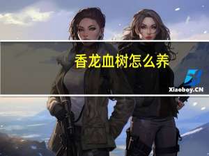 香龙血树怎么养：注意适宜的光照温度