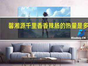 馨湘源 千里香香辣肠的热量是多少