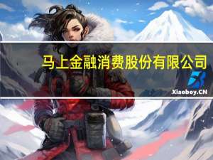 马上金融消费股份有限公司（马上消费是什么平台的贷款）