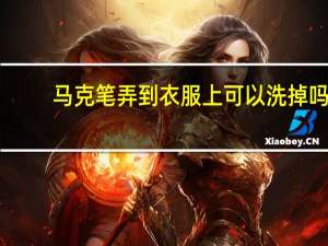 马克笔弄到衣服上可以洗掉吗