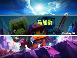 马加爵（关于马加爵的介绍）