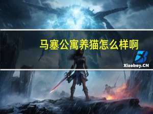 马塞公寓养猫怎么样啊