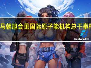 马朝旭会见国际原子能机构总干事格罗西