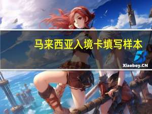 马来西亚入境卡填写样本