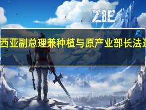 马来西亚副总理兼种植与原产业部长法迪拉将访华