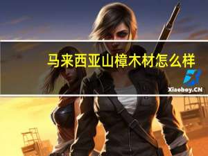 马来西亚山樟木材怎么样