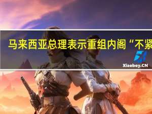 马来西亚总理表示重组内阁“不紧迫”