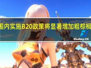 马来西亚方面表示全国范围内实施B20政策将显著增加粗棕榈油消费量达到每年超过100万吨