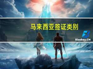 马来西亚签证类别