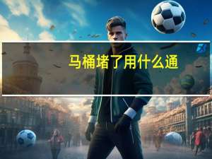 马桶堵了用什么通