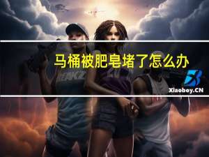 马桶被肥皂堵了怎么办
