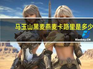 马玉山 黑麦燕麦卡路里是多少