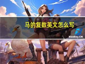 马的复数英文怎么写