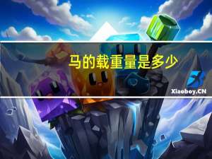 马的载重量是多少