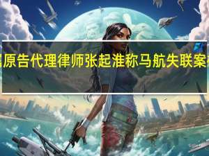 马航家属原告代理律师张起淮称马航失联案被告有5家公司