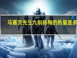 马赛克先生 九制杨梅的热量是多少
