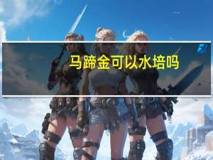 马蹄金可以水培吗
