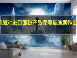 马达加斯加对进口面粉产品保障措施案作出终裁决定征税