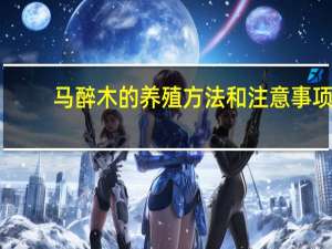 马醉木的养殖方法和注意事项